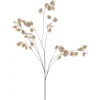 Sale Kunstbloem Varenzo judaspenning L bruin Kunstbloemen