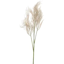 Clearance Kunsttak Varenzo fern beige Kunstbloemen