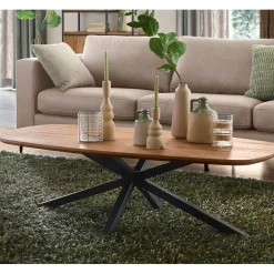 Salontafel Romaro teakhout 140x70 cm Deens ovaal mix rough Woonseries|Salontafel